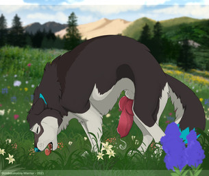 animal_genitalia animal_penis bodily_fluids canine_genitalia canine_penis cum detailed_background erection feral genital_fluids genitals grass knot male outside penis plant precum precum_string rounded_back solo unbreakable-warrior canid canine canis domestic_dog husky mammal nordic_sled_dog spitz 2021