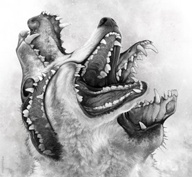 ambiguous_form ambiguous_gender body_horror bone fangs multi_mouth open_mouth skull snout solo teeth twitter_handle christopher_stoll canid mammal monster 2023 digital_drawing_(artwork) digital_media_(artwork) greyscale headshot_portrait hi_res monochrome portrait