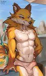 anthro bodily_fluids bulge clothed clothing day detailed_background detailed_bulge fur genital_outline hand_on_hip male muscular muscular_male narrowed_eyes navel nipples outside penis_outline red_eyes sideways-pointing_bulge smile solo sweat topless topless_male underwear yellow_body yellow_fur mewler canid canine fox mammal 2024 absurd_res hi_res