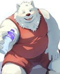 2024 absurd_res anthro belly big_belly bottomwear canid canine canis clothing domestic_dog fur hi_res humanoid_hands kemono male mammal noctnoc one_eye_closed overweight overweight_male shirt shorts sitting solo tank_top topwear white_body white_fur wink