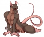 animal_genitalia anthro balls biped genitals kneeling looking_at_viewer male navel nude penis penis_tip rat_tail red_eyes sheath solo tail whiskers i-psilone shephard mammal murid murine rat rodent