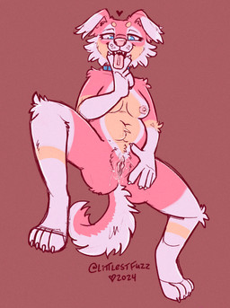 4_toes 5_fingers anthro areola arm_tuft bedroom_eyes biped bodily_fluids breasts butt cheek_tuft circle_eyebrows claws clitoris collar collar_only cunnilingus_gesture curvy_figure digitigrade elbow_tuft eyebrows eyelashes facial_tuft feet female finger_claws fingers floppy_ears fluffy fluffy_pubes fluffy_tail fur genital_fluids genitals gesture heart_symbol humanoid_hands inner_labia inviting knee_tuft leg_tuft lidded_eyes long_inner_labia looking_at_viewer medium_breasts narrowed_eyes navel nipples nude open_mouth paws pink_background pink_body pink_fur pink_nipples potbelly presenting presenting_vulva pubes seductive shoulder_tuft simple_background smile solo spread_legs spreading suggestive suggestive_gesture tail tan_body tan_fur teeth toe_claws toes tongue tongue_out tuft vaginal_fluids vaginal_fluids_on_vulva vulva white_body white_fur littlestfuzz spring_(puppyinpiink) bird_dog canid canine canis domestic_dog hunting_dog mammal retriever 2024 absurd_res colored_sketch digital_drawing_(artwork) digital_media_(artwork) full-length_portrait hi_res portrait sketch