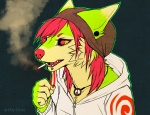 alternative_fashion anthro cigarette clothing female fur green_body green_fur hoodie jewelry necklace piercing smoking solo sparklefur topwear falvie falvie_(character) canid fionbri mammal 2013 digital_media_(artwork)