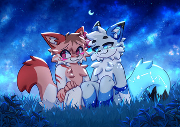 anthro bent_legs blush chest_tuft duo eyebrows grass hair hand_on_knee hand_on_leg inner_ear_fluff looking_at_another looking_away male male/male markings night nude on_grass on_ground outside plant raised_eyebrows short_hair shy sitting sky snout star_(marking) tail tuft appliei canid canine mammal colored digital_drawing_(artwork) digital_media_(artwork) hi_res shaded