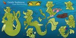 anthro female feral scales solo split_form text natt333 fish marine merfolk seapony_(mlp) absurd_res digital_media_(artwork) english_text hi_res model_sheet signature