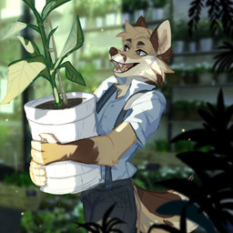 anthro blue_eyes blurred_background bottomwear brown_body brown_fur cheek_tuft clothed clothing facial_tuft fangs fur glistening glistening_eyes grey_bottomwear grey_clothing grey_pants hair happy inside male open_mouth open_smile pants pink_tongue plant plant_pot potted_plant smile solo standing tan_body tan_fur tan_hair teeth three-quarter_view tongue topwear tuft unsigned white_clothing white_topwear corzh77 canid mammal 1:1 absurd_res hi_res portrait three-quarter_portrait