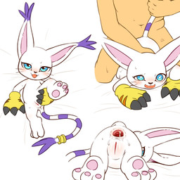 3_toes accessory after_sex all_fours anal anal_penetration anthro anthro_penetrated anus ass_up bedding bedding_background blue_eyes blush bodily_fluids clothing cum cum_in_ass cum_inside cum_string digiphilia doggystyle duo ear_tuft faceless_character faceless_human faceless_male feet female female_on_human female_penetrated flat_chested from_behind_position fur furgonomics gaping gaping_anus genital_fluids genitals gloves gloves_only handwear handwear_only holding_leg_up human_on_anthro human_penetrating human_penetrating_anthro interspecies jewelry kneeling larger_human larger_male looking_at_viewer looking_back looking_pleasured lying male male/female male_on_anthro male_penetrating male_penetrating_female markings mostly_nude on_front open_mouth open_smile pawpads penetration pink_pawpads plantigrade plump_labia presenting presenting_vulva raised_leg ring ring_(marking) ringed_tail semi-anthro sex simple_background size_difference smaller_anthro smaller_female smaller_penetrated smile striped_markings striped_tail stripes sweat tail tail_accessory tail_grab tail_jewelry tail_markings tail_ring three_frame_image three_frame_sequence toes tuft vulva whiskers white_background white_body white_fur young alacarte bandai_namco digimon digimon_(species) felid gatomon human mammal 1:1 hi_res sequence adult_(lore)