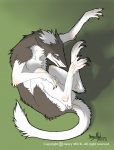 anthro curled_up digitigrade male solo tail text epicwang mick39 iris_(cerussite) mammal sergal english_text