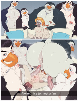 5_fingers ambiguous_gender anal anal_penetration andromorph andromorph/male anthro anthro_on_anthro anthro_penetrated anthro_penetrating anthro_penetrating_anthro anus ball_size_difference balls beak big_anus big_butt big_penis blind_eye bodily_fluids border butt caption crossgender dog_tags eye_scar eyebrow_piercing eyebrow_ring facesitting facial_hair facial_piercing facial_scar femboy fingers gangbang genitals glans group group_sex huge_butt huge_penis humanoid_genitalia humanoid_penis intersex intersex/male larger_male larger_on_top larger_rimmed long_penis male male/male male_penetrated male_penetrating male_penetrating_male mastectomy_scar mta_crossgender mti_crossgender multiple_piercings muscular muscular_andromorph muscular_anthro muscular_intersex muscular_male musk navel navel_piercing nipple_piercing nipple_ring nipples nude nude_andromorph nude_anthro nude_intersex nude_male on_top orange_beak overweight overweight_andromorph overweight_intersex penetration penile penile_penetration penis penis_in_ass penis_size_difference perineum piercing pink_glans pink_nipples power_bottom ring_piercing scar sex short_tail sitting_on_another size_difference skinny skinny_anthro skinny_male smaller_male smaller_penetrated sweat sweaty_butt tail teeth text toothed_beak visibly_trans white_balls white_border white_penis white_perineum roly dreamworks madagascar_(series) piper_perri_surrounded the_penguins_of_madagascar kowalski_(madagascar) mordecai_(modern_bird) private_(madagascar) rico_(madagascar) skipper_(madagascar) avian bird cockatoo parrot penguin 2025 english_text hi_res meme trans_(lore) trans_man_(lore)