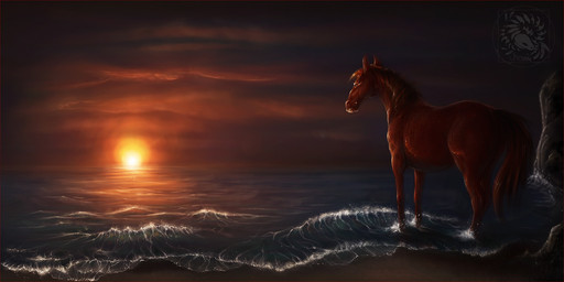 beach brown_body brown_fur brown_hair day detailed_background feral fur hair sand sea seaside sky solo standing sun water averrisvis equid equine horse mammal 2013 2:1 digital_media_(artwork)