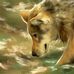 ambiguous_gender feral fur grey_body grey_fur partially_submerged solo water goldendruid canid canine canis mammal wolf 1:1 2016 digital_media_(artwork)