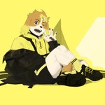 anthro blonde_hair blue_eyes bottomwear clothing floppy_ears hair hoodie male one_eye_closed pawpads shorts sitting solo topwear wink 725_hn lifewonders live_a_hero hisaki_(live_a_hero) canid canine canis domestic_dog mammal 1:1 absurd_res hi_res