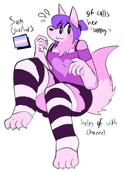 anthro black_bottomwear black_clothing black_skirt bottomwear clothing female footwear fur gloves_(marking) hair heart_clothing heart_nose heart_shirt heart_symbol heart_topwear legwear lgbt_pride markings pink_body pink_fur pride_colors print_clothing print_shirt print_topwear purple_clothing purple_hair purple_shirt purple_topwear shirt simple_background skirt socks solo stockings text thigh_highs toeless_footwear toeless_socks topwear transgender_pride_colors white_background bigsteppies sam_(bigsteppies) canid mammal english_text hi_res trans_(lore) trans_woman_(lore)