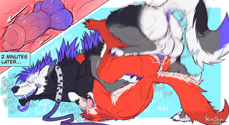 abs anal anal_knotting anal_penetration animal_genitalia animal_penis anthro anthro_on_feral anthro_penetrated anus balls bestiality black_body black_fur blue_body blue_fur bodily_fluids bound canine_genitalia canine_penis claws collar duo ear_piercing ear_ring erection facial_piercing fangs feet feral feral_on_top feral_penetrating feral_penetrating_anthro fur genitals grey_body grey_fur hair intraspecies intraspecies_bestiality knot knot_fucking knot_root knotted_penis knotting leash male male/male male_feral male_on_bottom male_penetrated male_penetrating male_penetrating_male nude on_bottom open_mouth pawpads penetration penile penile_penetration penis petting piercing purple_anus purple_pawpads red_body red_fur ring_piercing sex sheath simple_background size_difference smaller_penetrated smile spiked_collar spikes tail tail_motion teeth text tongue white_body white_fur dexthegrump mythology dex_(weredemo) wolfyportal canid canine mammal mythological_canine mythological_creature werecanid werecanine werecreature werewolf absurd_res english_text hi_res