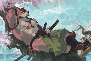 anthro armpit_hair beard body_hair cherry_blossom cherry_blossom_tree cherry_tree chest_hair eyebrows facial_hair flower fruit_tree fur hair katana male melee_weapon muscular muscular_anthro muscular_male nipples pecs plant prunus_(flower) pubes solo sword tree weapon white_body destroycode canid canine mammal digital_drawing_(artwork) digital_media_(artwork) digital_painting_(artwork) hi_res painting_(artwork)