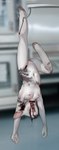 anthro blood bodily_fluids child_murder death female genitals gore gore_focus hanging_from_hook loli nude pussy slit_throat solo upside_down white_body young young_anthro pavane bovid bovine cattle mammal 2021 hi_res