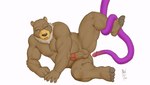 anal anthro anus balls belly biceps butt erection feet genitals male mane musclegut muscular nipples open_mouth pecs penetration penis penis_tentacles perineum purple_tentacles raised_leg sex simple_background slightly_chubby solo tentacle_penetration tentacle_sex tentacles triceps white_background wide_eyed maxima bear mammal 2d_animation animated motion_tweening short_playtime