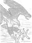 4_fingers 4_toes anthro beak bottomwear clothing feet fingers flying male pants pants_only solo toes winged_arms wings snarkysardine accipitriform avian bird osprey 2024 3:4 hi_res monochrome sketch