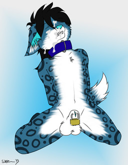 animal_genitalia anthro bdsm biped bodily_fluids bondage bound chastity_device chastity_device_only chastity_piercing cock_and_ball_torture collar cum cum_on_face eyes_closed furgonomic_piercing furgonomics genital_fluids genital_piercing genital_torture genitals hands_behind_back kneeling lock locked male nude padlock pain penis phallic_chastity_device piercing raised_tail sheath sheath_piercing solo submissive submissive_male tail wearing_chastity_device skyfly shijan canid canine canis felid hybrid mammal pantherine snow_leopard wolf 2013