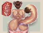 accessory anal anal_orgasm anal_penetration anthro anthro_penetrated anus big_butt bodily_fluids brown_body brown_fur brown_hair butt cum cum_in_ass cum_inside curvy_anthro curvy_female curvy_figure duo ejaculation erection female female_penetrated first_person_view fur genital_fluids genitals hair hair_accessory hands-free hourglass_figure hourglass_figured_female human_on_anthro human_penetrating human_penetrating_anthro human_pov humanoid_genitalia interspecies male male/female male_penetrating male_penetrating_female male_pov nude orgasm penetrating_pov penetration penile penile_penetration penis sex simple_background tail thick_thighs wide_hipped_female wide_hips kaedrhara maylah cougar felid feline human mammal absurd_res hi_res