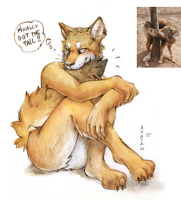 anthro bite butt butt_tuft cheek_tuft ear_piercing ear_ring facial_tuft fangs fluffy fluffy_tail fur male nude orange_body orange_fur photo_reference piercing ring_piercing self_bite simple_background sitting solo tail tail_bite tail_in_mouth teeth text thought_bubble three-quarter_view tuft white_background white_body white_fur akatan_art canid canine canis coyote mammal 2022 dated english_text hi_res painting_(artwork) redraw reference_image signature traditional_media_(artwork) traditional_painting_(artwork) traditional_watercolor_(artwork) watercolor_(artwork)