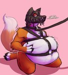 animal_mask anthro bdsm_gear belly big_belly blue_eyes collar fur inflation male mask orange_body orange_fur overweight overweight_anthro overweight_male pup_mask slime white_body white_fur zannathedragon foxxel canid canine canis fox mammal hi_res