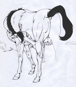 animal_genitalia anus balls butt equine erection feral horse horsecock klaus_doberman male mammal penis puffy_anus solo spirit:_stallion_of_the_cimarron spirit_(cimarron)
Rating: Explicit
Score: 6
User: tnovak
Date: April 27, 2012 animal_genitalia anus balls butt equine erection feral horse horsecock klaus_doberman male mammal penis puffy_anus solo spirit:_stallion_of_the_cimarron spirit_(cimarron)
Rating: Explicit
Score: 6
User: tnovak
Date: April 27, 2012