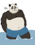 anthro clothing male overweight overweight_male solo swimwear zeltrexarts jujutsu_kaisen panda_(jujutsu_kaisen) bear giant_panda mammal hi_res