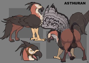 animal_genitalia animal_penis anus avian_feet balls beak big_flare bridle equine_anus equine_genitalia equine_penis feathered_wings feathers feet feral flared_penis genitals half-erect hooves huge_flare male open_beak open_mouth penis puffy_anus simple_background solo tail wings mcfan european_mythology greek_mythology hasbro mythology avian hippogriff mythological_avian mythological_creature digital_media_(artwork) hi_res model_sheet