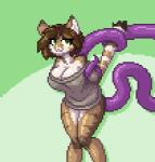 2019 abdominal_bulge ambiguous_penetration animated anthro big_breasts breasts clothed clothing digital_media_(artwork) domestic_cat felid feline felis female hair helia_peppercats limebreaker looking_at_viewer low_res mammal penetration pixel_(artwork) pixel_animation short_playtime smile solo sweater tentacles topwear