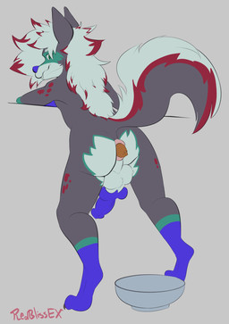 anthro anus balls big_anus big_balls blue_penis bowl butt container erection feces feces_in_ass fur genitals gloves_(marking) green_eyes hair leaning_on_object leg_markings looking_back male markings multicolored_body multicolored_fur nude penis pooping presenting puffy_anus rear_view simple_background socks_(marking) solo spots spotted_body spotted_fur spotted_markings tail tail_markings turtleheading redblissex lyonel_(lyonelhy) canid canine canis domestic_dog husky hybrid hyena mammal nordic_sled_dog spitz digital_media_(artwork) hi_res