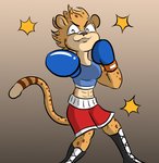 anthro boxing_gloves clothing female handwear solo tomboy belugatoons ash_(yeahbeezii) cheetah felid feline mammal