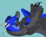 balls blue_body duo feet feral foot_fetish foot_lick foot_play fur genitals grey_body horn licking lying male male/male penis tongue whiskers halanari mythology temeraire_(series) dragon mythological_creature mythological_scalie scalie hi_res