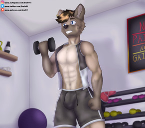 abs anthro biceps blue_eyes brown_hair bulge clothed clothing dumbbell exercise fur hair holding_dumbbell holding_object male muscular muscular_anthro muscular_male simple_background smile solo text topwear weightlifting weights workout draik hyena mammal absurd_res hi_res shaded url