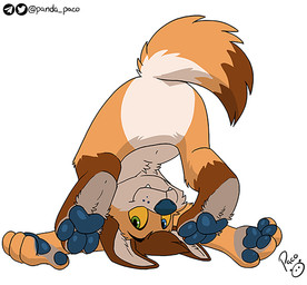 anthro blue_eyes blue_nose blue_pawpads closed_smile fangs featureless_crotch fur green_eyes heterochromia leg_markings logo looking_at_viewer male markings mouth_closed nude orange_body orange_fur pawpads simple_background smile socks_(marking) solo teeth upside_down white_background white_body white_fur yellow_sclera young young_anthro young_male pandapaco canid canine mammal artist_logo signature