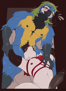 anthro bdsm beads bodily_fluids bondage bound deep_throat duo genital_fluids genitals jewelry leaking_precum male male/male multi_tail muscular muscular_male necklace nipples oral oral_penetration penetration penis precum pubes restraints rope rope_bondage rope_harness size_difference tail throbbing throbbing_penis nyushi inaru_(cephalon_keaton) avian bird canid canine fox macaw mammal neotropical_parrot parrot true_parrot