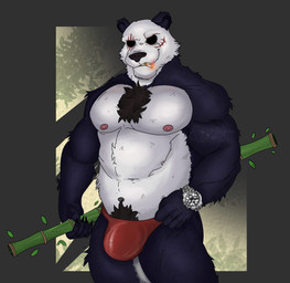 anthro bamboo bamboo_stick body_hair chest_hair chest_tuft cigarette cigarette_in_mouth clock clothing eye_scar facial_scar fluffy fluffy_tail fur happy_trail male muscular muscular_anthro nipples object_in_mouth scar smoking solo speedo swimwear tail tuft watch white_body white_fur wristwatch scarredbeard beastars rolex gouhin_(beastars) bear giant_panda mammal hi_res