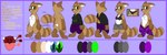 3_toes 4_fingers anthro barefoot biped black_bra black_clothing black_hoodie black_nose black_panties black_topwear black_underwear blue_border blue_eyes border bottomwear bra breasts brown_body brown_ears brown_fur brown_markings brown_paws brown_tail chest_tuft clothed clothed_anthro clothed_female clothing color_swatch digitigrade facial_markings fangs featureless_breasts featureless_crotch feet female fingers front_view fur fur_markings gloves_(marking) green_eyes grey_clothing head_markings heterochromia hoodie leaf leg_markings legwear looking_at_viewer markings mask_(marking) multicolored_body multicolored_fur navel nude nude_anthro nude_female open_mouth panties pants pattern_clothing pattern_legwear pattern_stockings paws pockets purple_bottomwear purple_clothing purple_legwear purple_pants purple_stockings raised_tail rear_view red_tongue smile smiling_at_viewer snout socks_(marking) solo standing stockings striped_body striped_clothing striped_fur striped_legwear striped_markings striped_stockings striped_tail stripes tail tail_markings tan_body tan_fur tan_inner_ear teeth text toes tongue topwear training_bra tuft two_tone_body two_tone_fur underwear white_body white_breasts white_fur ssecrets151 yuki_(side_b) canid canine mammal raccoon_dog tanuki 2022 3:1 absurd_res character_name digital_drawing_(artwork) digital_media_(artwork) english_text hi_res model_sheet