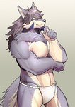 anthro bottomwear canid canine canis clothing fur hair lifewonders male mammal simple_background solo soonico temujin_(tas) tokyo_afterschool_summoners wolf