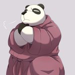 anthro biped black_body black_fur clothing fur kemono multicolored_body multicolored_fur overweight overweight_anthro robe simple_background solo two_tone_body two_tone_fur white_body white_fur emufu bear giant_panda mammal 1:1 2017