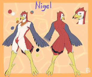 4_toes anisodactyl anthro avian_feet beak claws color_swatch countershading feather_hands feathers featureless_crotch feet grey_body grey_feathers looking_at_viewer male nude open_mouth orange_background pecs red_body red_feathers scutes simple_background solo talons text toe_claws toes exsys nigel_(exsys) avian bird 2021 character_name flat_colors hi_res model_sheet