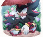 anthro black_body black_fur blue_eyes duo fur male outside plant raining red_eyes tail umbrella kosafordraw sega sonic_the_hedgehog_(series) shadow_the_hedgehog chao_(sonic) eulipotyphlan hedgehog mammal hi_res