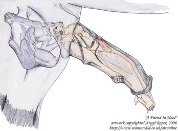 2006 angyl_roper anthro balls canine cock_vore duo_focus equine group horse human inside_balls internal male mammal masculine open_mouth penetration penis stretchy traditional_media_(artwork) urethral urethral_penetration vore wolf
Rating: Explicit
Score: -7
User: Rugertaur
Date: August 17, 2014 2006 angyl_roper anthro balls canine cock_vore duo_focus equine group horse human inside_balls internal male mammal masculine open_mouth penetration penis stretchy traditional_media_(artwork) urethral urethral_penetration vore wolf
Rating: Explicit
Score: -7
User: Rugertaur
Date: August 17, 2014