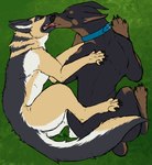 duo feral feral_on_feral grass kiss_on_lips kissing laying_on_grass lying lying_on_ground male male/male on_ground on_side plant yonnixart lenny_(ownerofallgames) canid canine canis dobermann domestic_dog mammal pinscher absurd_res hi_res