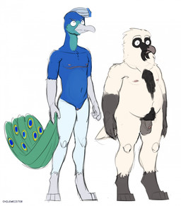 andromorph anthro balls beak belly big_clitoris black_body black_feathers blue_body blue_feathers chest_tuft clitoris digitigrade duo feathers flaccid foreskin genitals green_body green_feathers humanoid_genitalia intersex male mastectomy_scar nipples no_irises non-mammal_mastectomy_scar nude nude_anthro nude_male penis pubes scar simple_background slightly_chubby slim standing tan_body tan_feathers tuft turquoise_feathers vulva white_body white_feathers scribefang accipitrid accipitriform avian bearded_vulture bird galliform old_world_vulture peafowl phasianid vulture 2025 digital_drawing_(artwork) digital_media_(artwork) hi_res sketch trans_(lore) trans_man_(lore)