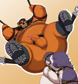 anal anal_fisting anal_penetration anthro anus balls belly brown_body brown_fur butt clothing deep_fisting duo erection fisting fur genitals hat headgear headwear kemono lying male male/male moobs nipples obese obese_anthro obese_male overweight overweight_anthro overweight_male penetration penis urethral urethral_penetration white_body white_fur kumajjjj bear canid canine canis domestic_dog mammal 2020 absurd_res hi_res