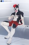 4_toes 5_fingers anthro black_body black_fur black_nose body_hair boxers_(clothing) brown_eyes bulge clothed clothing countershading ear_piercing fangs feet fingers fur hair happy_trail looking_at_viewer male pecs piercing pose red_clothing red_hair red_underwear simple_background sitting solo teeth toes tongue tongue_out topless underwear white_body white_fur nerton sebastian_the_husky canid canine canis domestic_dog husky mammal nordic_sled_dog spitz 2021 digital_media_(artwork) hi_res