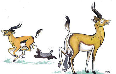 2014 ambiguous_gender antelope backsack badger ballbiting ballbusting balls bite chasing cock_and_ball_torture feral group hanging hanging_balls hooves horn humor male mammal mustelid nom pain roz_gibson running scared shocked size_difference teeth
Rating: Explicit
Score: 12
User: Jugofthat
Date: October 15, 2014 2014 ambiguous_gender antelope backsack badger ballbiting ballbusting balls bite chasing cock_and_ball_torture feral group hanging hanging_balls hooves horn humor male mammal mustelid nom pain roz_gibson running scared shocked size_difference teeth
Rating: Explicit
Score: 12
User: Jugofthat
Date: October 15, 2014