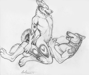anal anal_penetration anthro bodily_fluids cowgirl_position cum cum_in_mouth cum_inside duo erection eyes_closed from_front_position genital_fluids genitals lying male male/male male_on_bottom male_on_top male_penetrated male_penetrating male_penetrating_male nude on_back on_bottom on_top penetration penis sex simple_background straddling tail white_background rukis canid canine mammal 2011 greyscale monochrome sketch