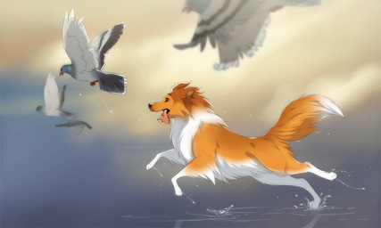 ambiguous_gender beak brown_eyes dipstick_tail feathered_wings feathers female feral fluffy_fur flying fur group long_snout markings open_beak open_mouth orange_body orange_fur outside pink_tongue running side_view sky snout tail tail_markings tongue tongue_out water white_body white_fur wings azzai avian bird canid canine canis columbid domestic_dog herding_dog mammal pastoral_dog pigeon sheepdog shetland_sheepdog 2018 colored digital_drawing_(artwork) digital_media_(artwork) shaded